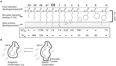 Odor mixtures: A chord with silent notes